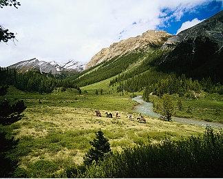 《巫师4》动画总监：最大挑战是让玩家相信希里和杰洛特一样重要